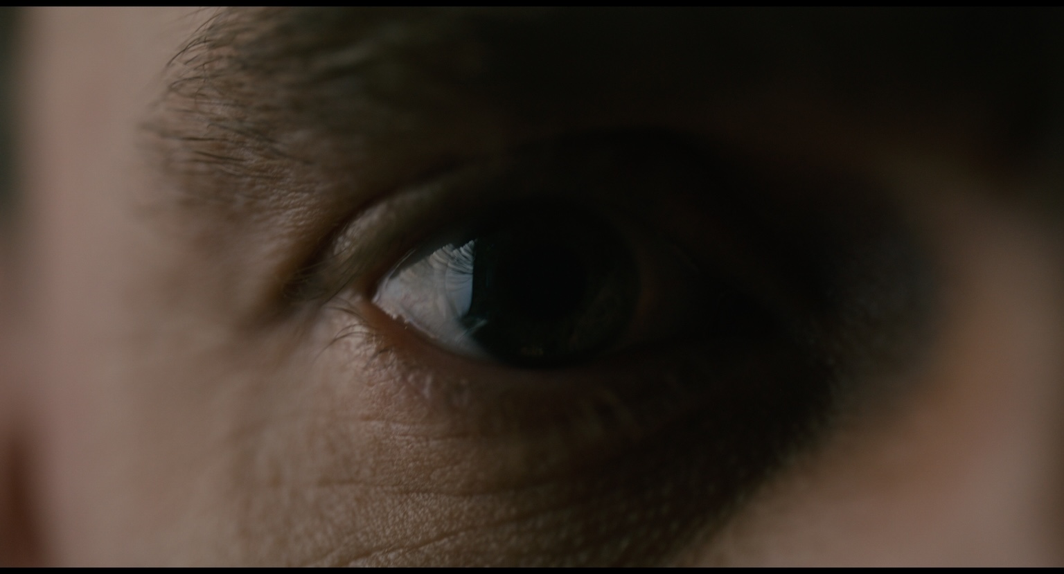 Corvidae_for stills_00_06_32_01